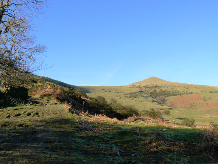 Lose Hill Lose Hill